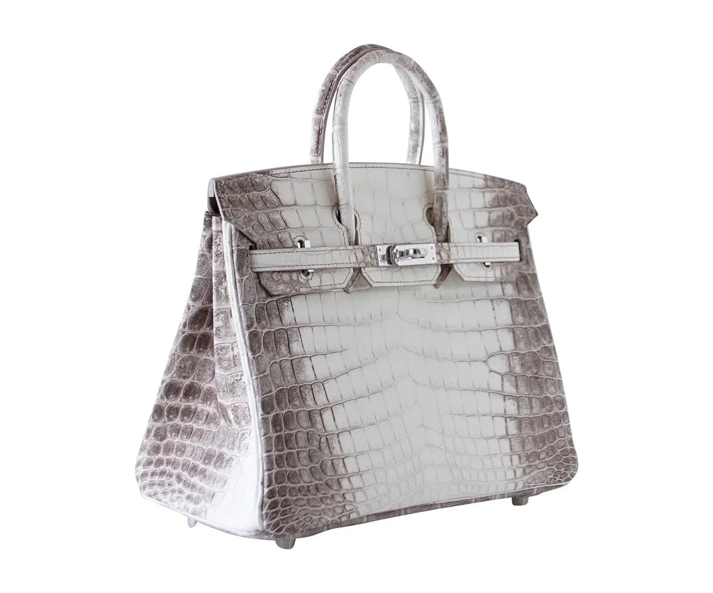 Birkin 25 Bag Blanc Himalaya Exquisite Jewel Palladium Hardware