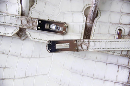 Birkin 25 Bag Blanc Himalaya Exquisite Jewel Palladium Hardware