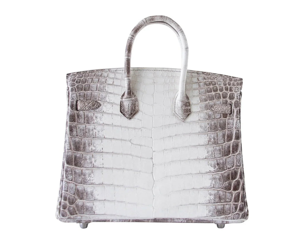 Birkin 25 Bag Blanc Himalaya Exquisite Jewel Palladium Hardware