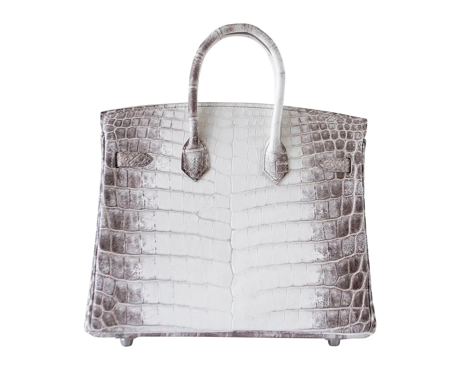 Birkin 25 Bag Blanc Himalaya Exquisite Jewel Palladium Hardware