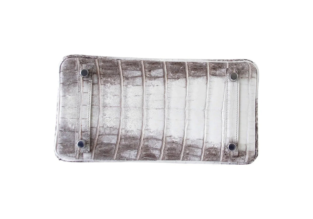 Birkin 25 Bag Blanc Himalaya Exquisite Jewel Palladium Hardware