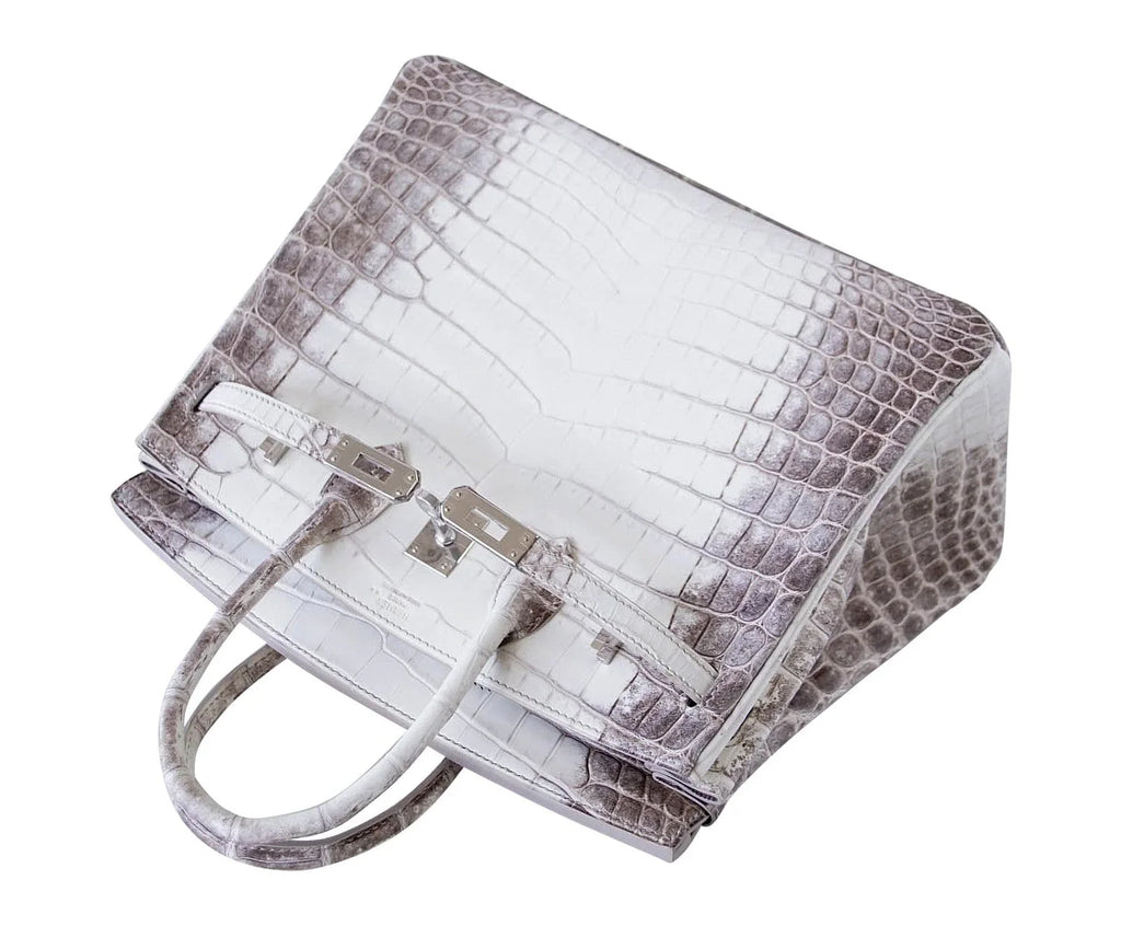 Birkin 25 Bag Blanc Himalaya Exquisite Jewel Palladium Hardware